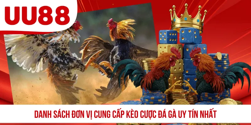 Danh sách đơn vị cung cấp kèo cược đá gà uy tín nhất