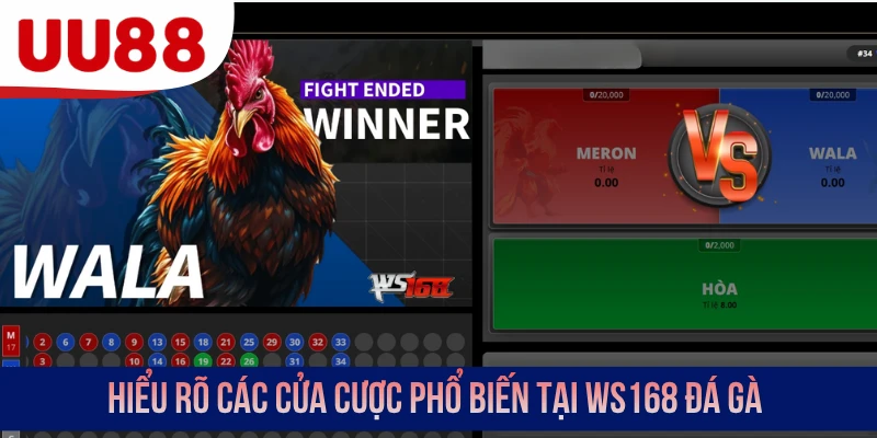 Hiểu rõ các cửa cược phổ biến tại WS168 đá gà
